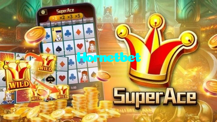 پاکستان میں تیز رفتار گیمنگ انجن اور جدید کرکٹ بیٹنگ سسٹم